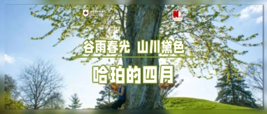 谷雨春光，山川黛色 —— 哈珀的四月