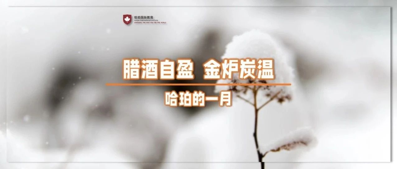 腊酒自盈，金炉炭温 —— 哈珀的一月