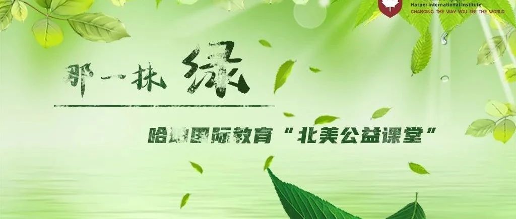 初三学子 ——【那一抹绿】北美公益课堂第10季即将启幕