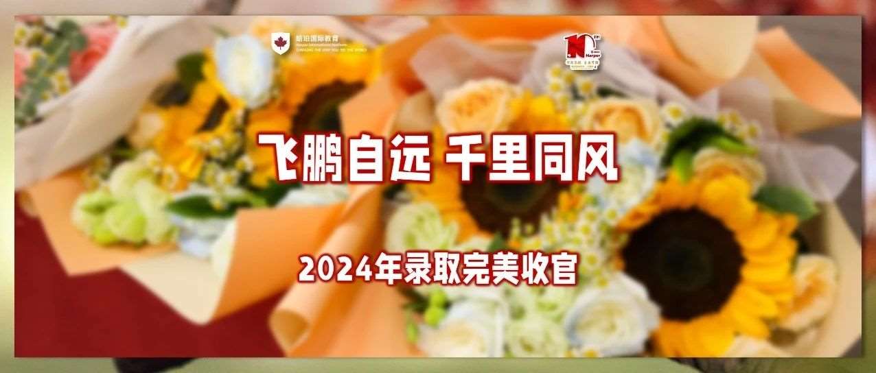 飞鹏自远 千里同风 —— 哈珀国际教育2024年录取完美收官