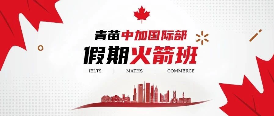 青苗暑期雅思火箭营：15天的智慧之旅