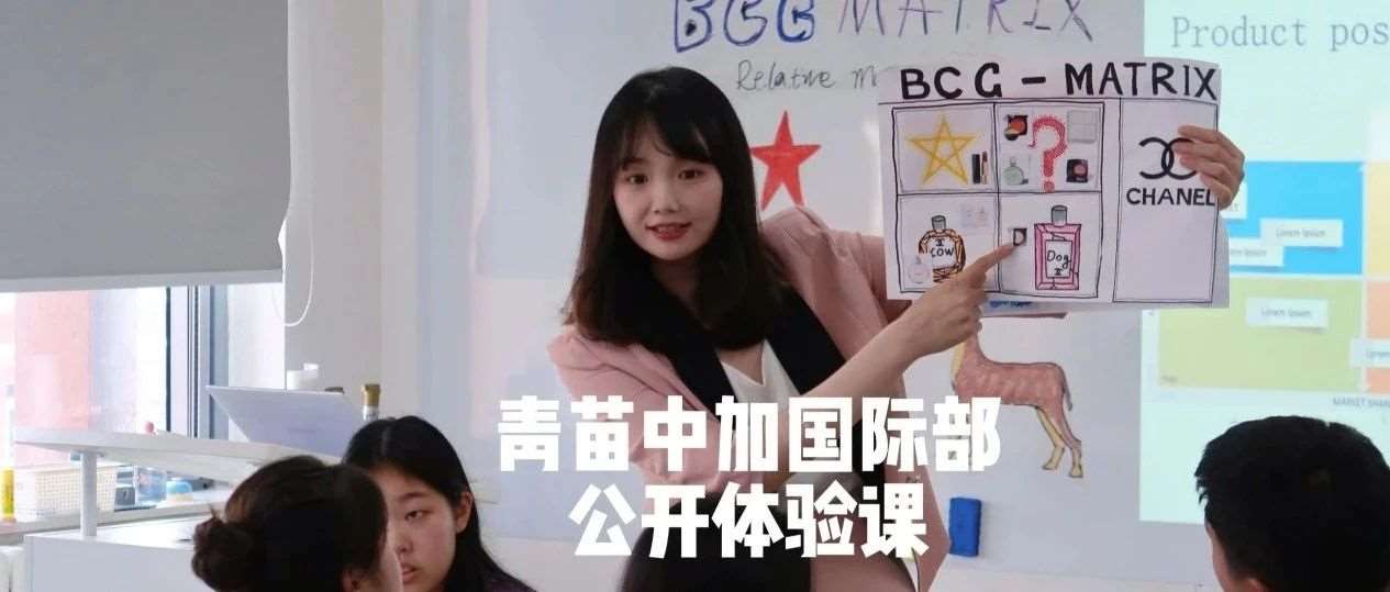 英语、商业与艺术的完美结合｜青苗中加国际部公开体验课
