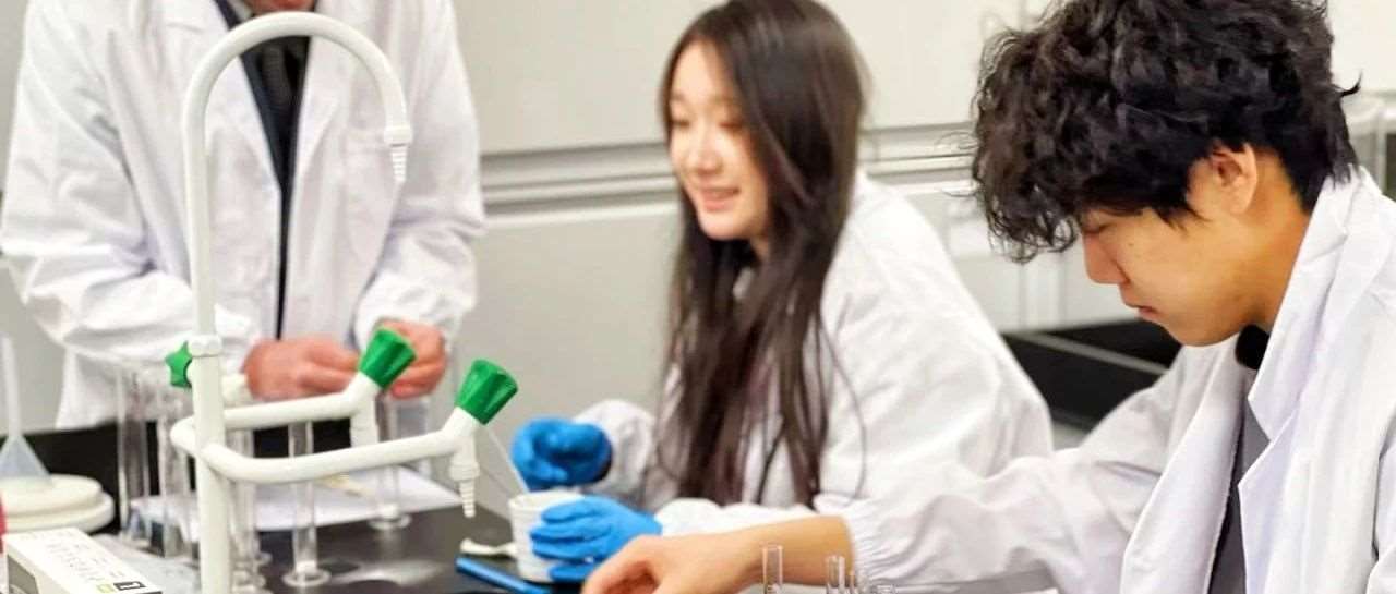 Science Fair：点燃科学星火，绽放创意之光