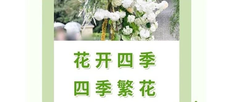 教育新赛道：当各个国际学校都在布局OSSD课程，如何重塑留学路径？