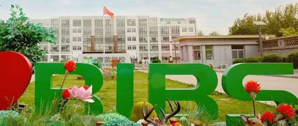 Knock, Hey~你有一封来自青苗OSSD中加学部的开学信