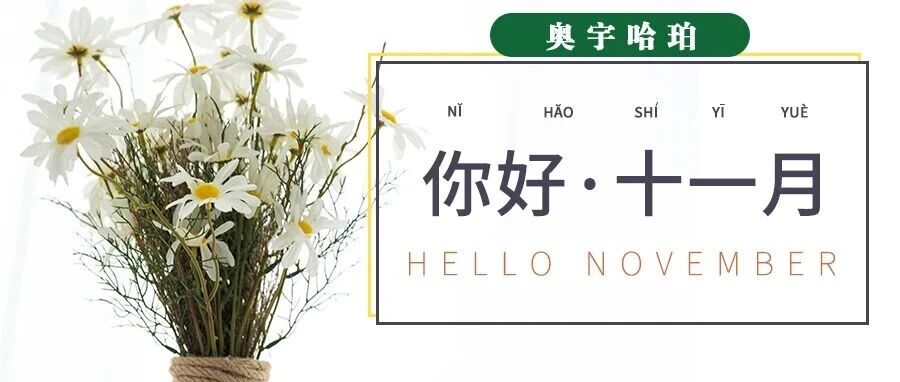 哈珀校园11月速览&mdash;&mdash;年末将至，收获颇丰