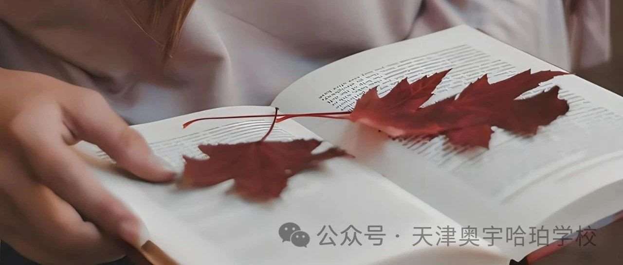 初三家长必看：人均一份QS世界百强大学Offer的学校招生啦！