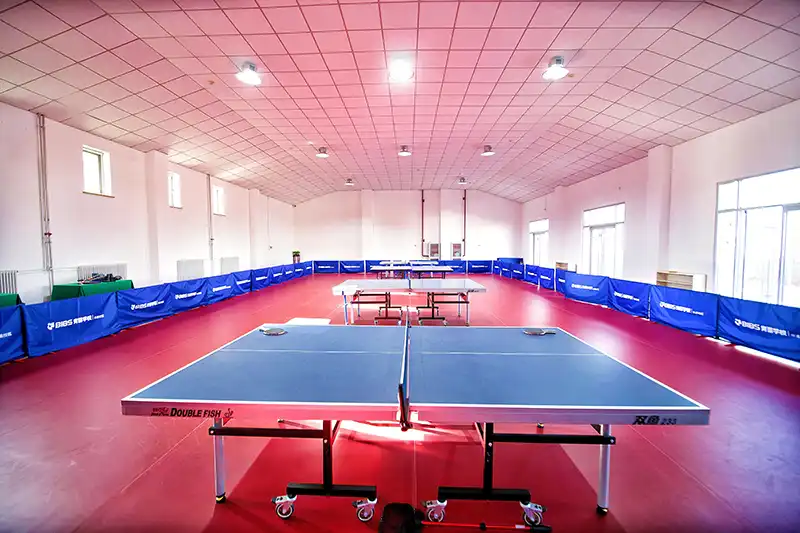 乒乓球羽毛球馆